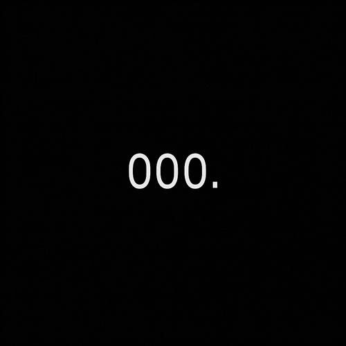 EXPERIENCE 000